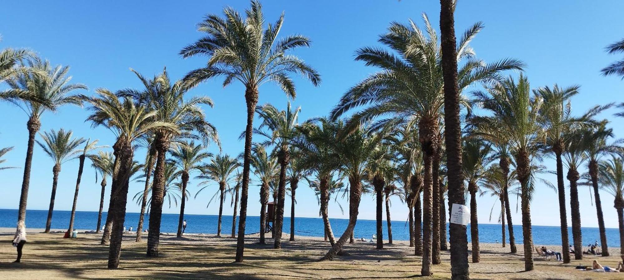 San Antonio - Beach, Pool And Terrace Torremolinos Eksteriør bilde